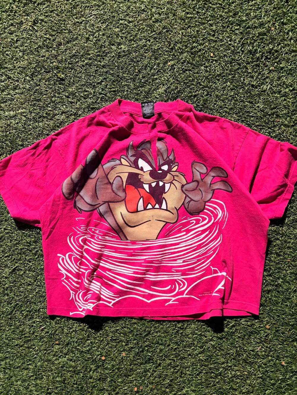 Vintage 1996 Looney Tunes Tasmanian Devil Taz Crop Top T-Shirt